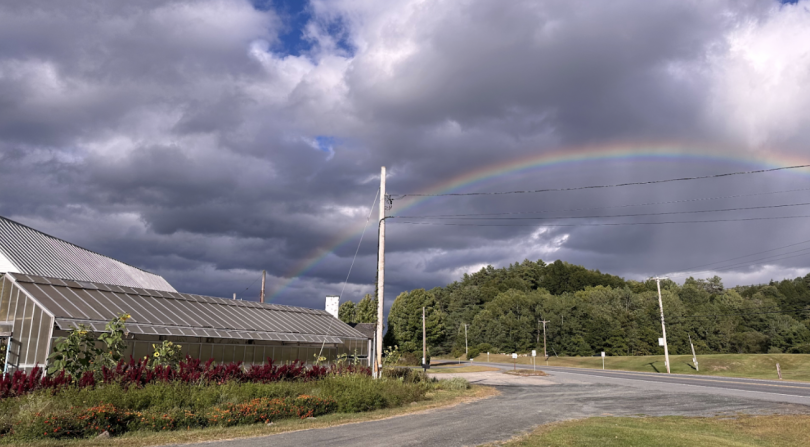 A view of the road leading into the organic farm. To the left is the greenhouse and a field of flowers, to the right is the road, power lines, and a rainbow against a cloudy sky.