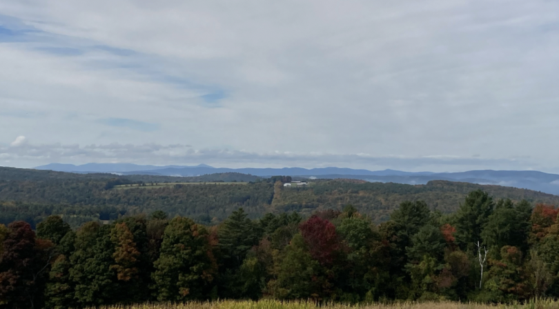 A view of the landscape from Patch Orchards, a multicolored forest of trees is in the foreground, with mountains in the background.