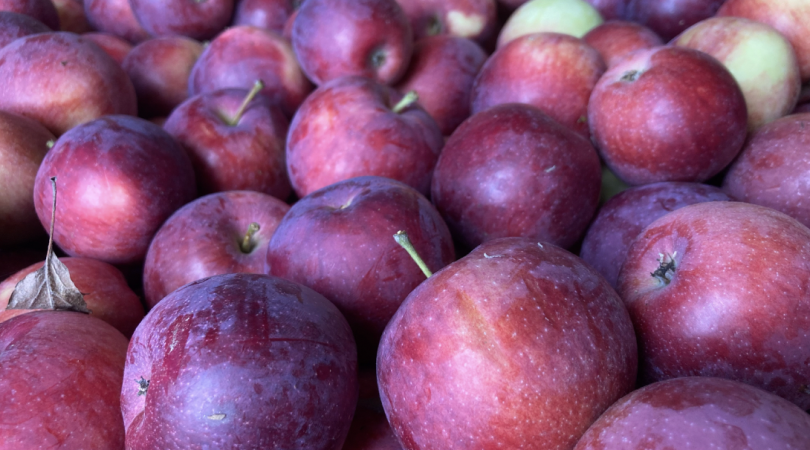 A close up shot of a pile of apples