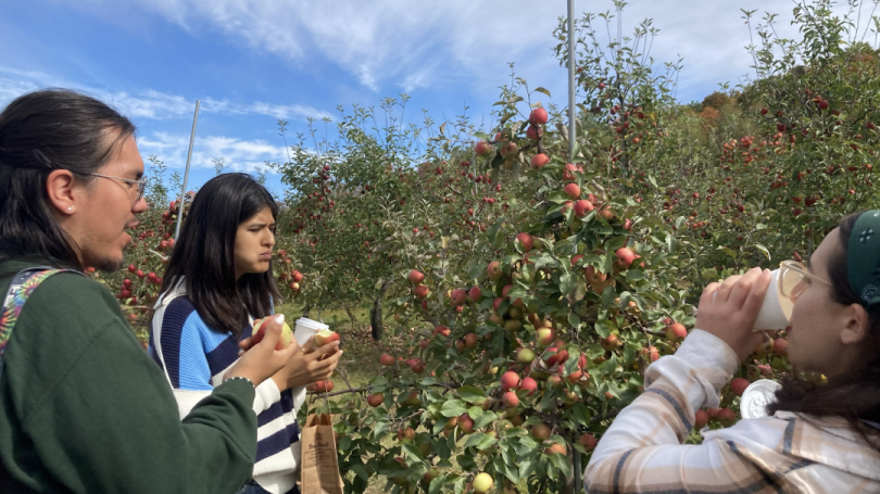 On the left side, two students are eating apples, on the right is a person drinking from a paper cup. They are standing in front of an apple tree.