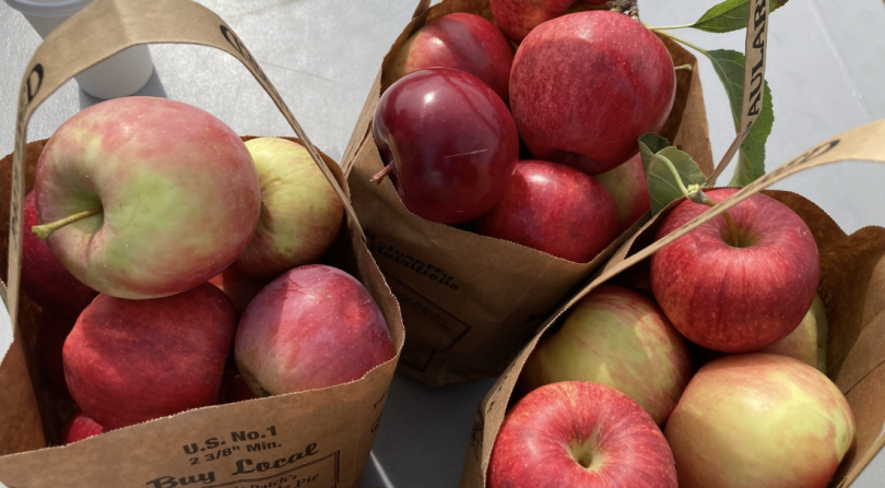 Three paper bags filled with apples