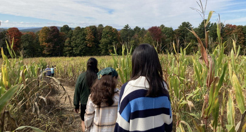 Dezstany, Wica, and Hannah walk single file in the corn maze. The forest and sky are visible in the background.