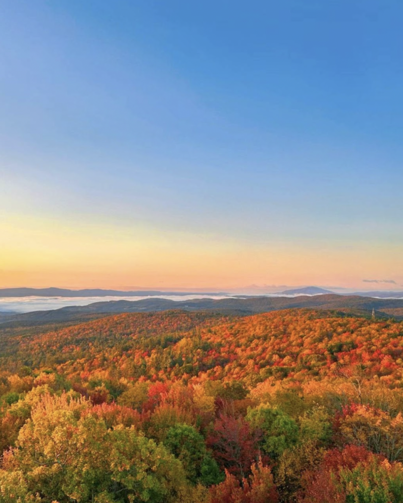 View from the watchtower on Gile Mountain