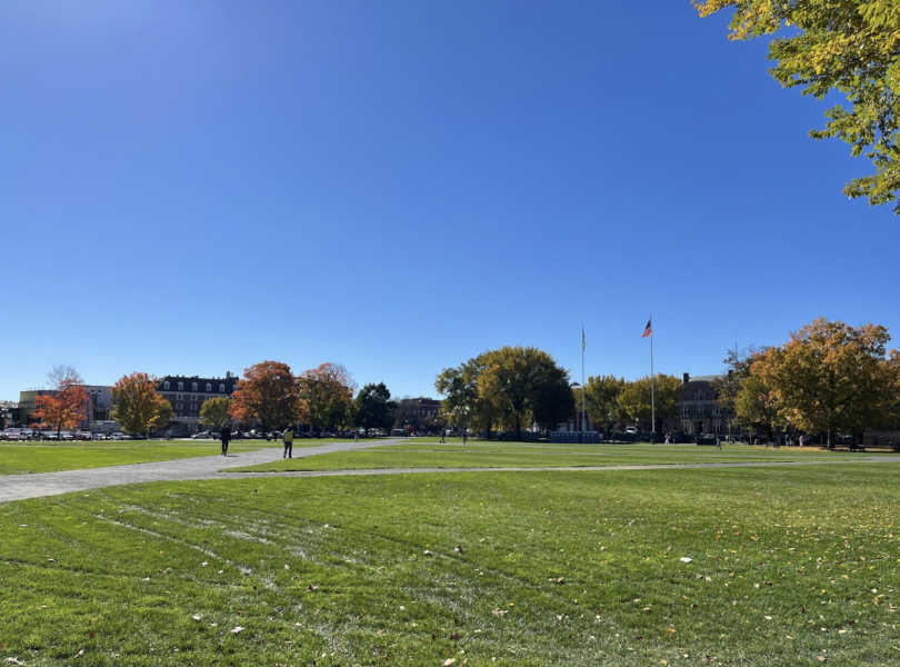 landscape photo with green grass on the bottom and orange, red, and green trees in the background. There is a bright blue sky.