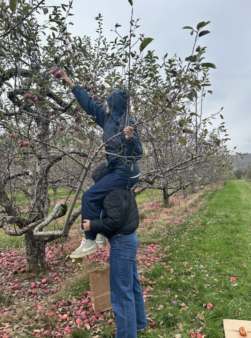 a person is on top of another's shoulders, reaching out to pick apples from the tree