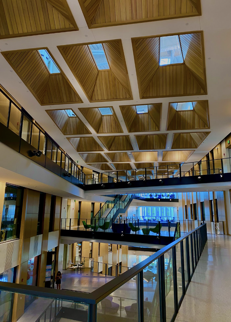 building with sky-lights