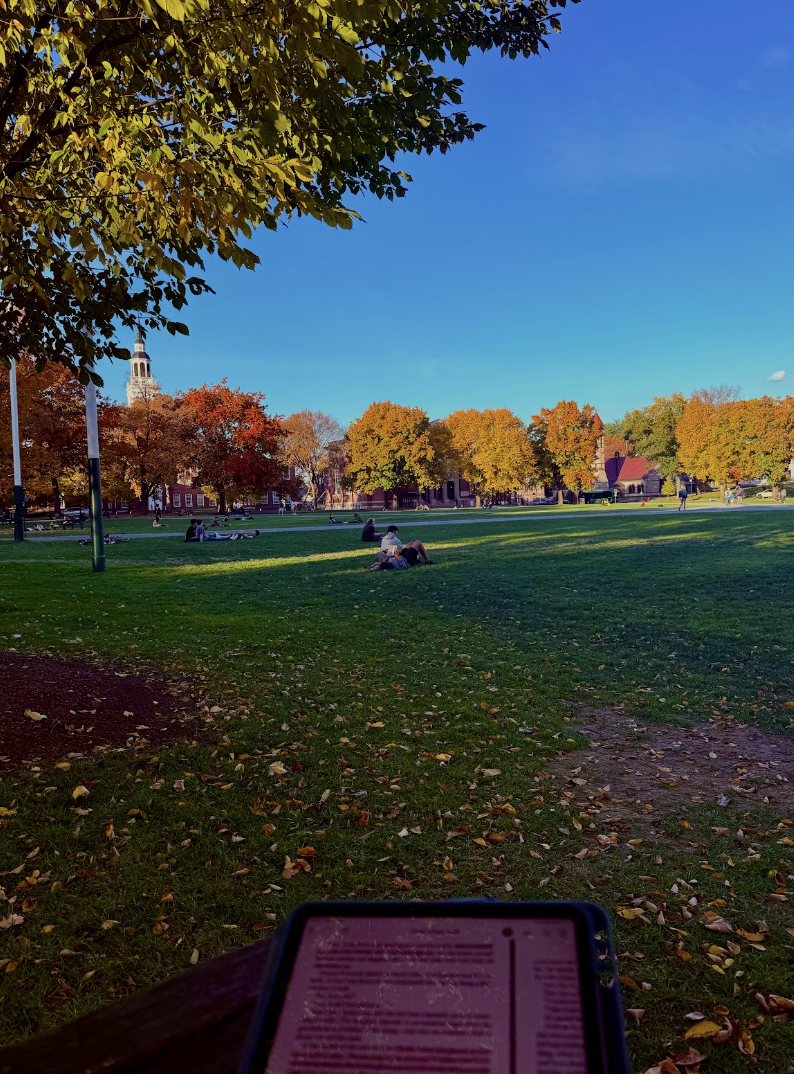 field with trees