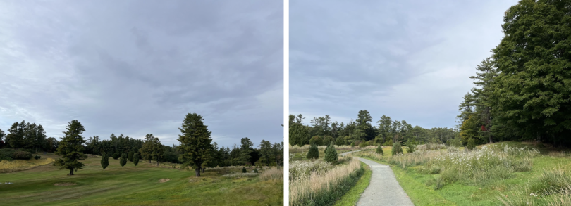 Green walking trails