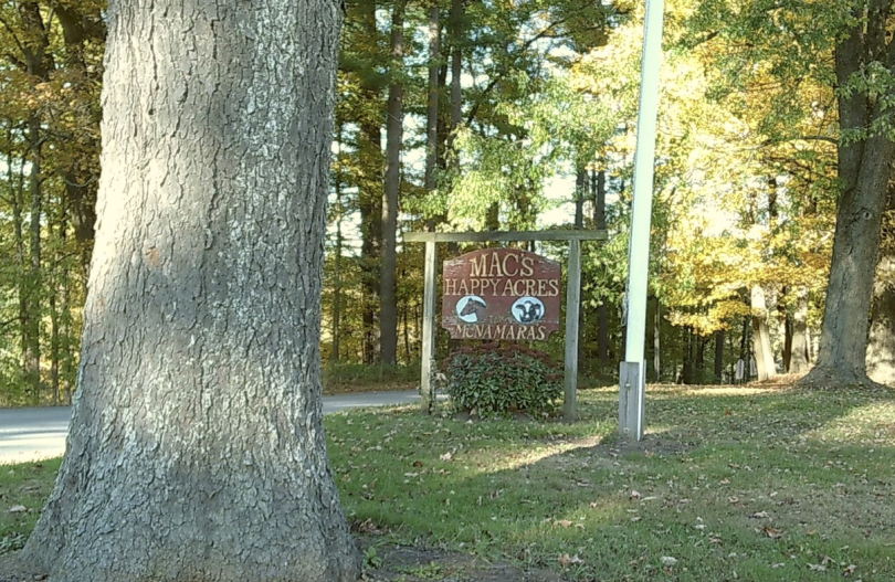 A large tree next to a sign that reads "Mac's Happy Acres McNamara's"