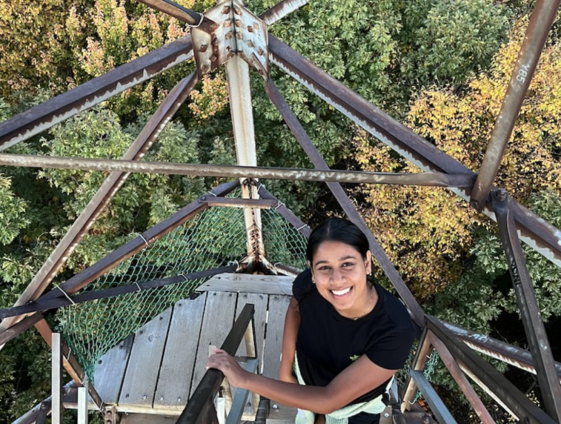 An image of a student standing on a tower with a background of fall foliage (yellow and green trees)