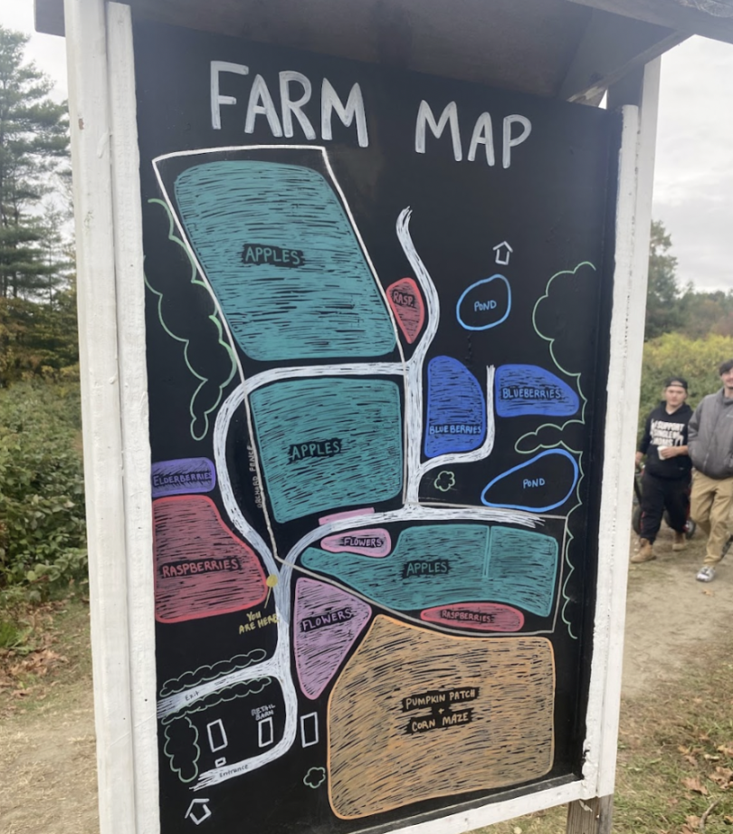 A map of the farm drawn with chalk, depicting apple, raspberry, elderflower, blueberry, and flower plots.