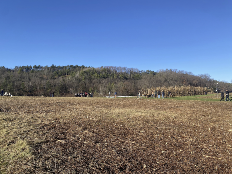 A vast field of woodchips with trees and mountains in the background