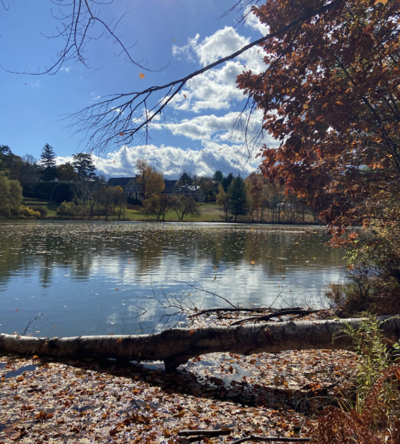 fall foliage at occom pond