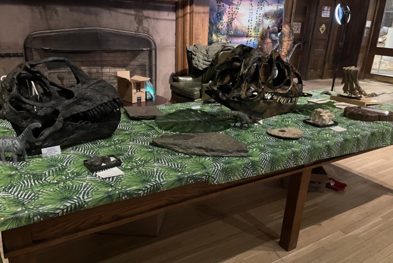 The fossil table!