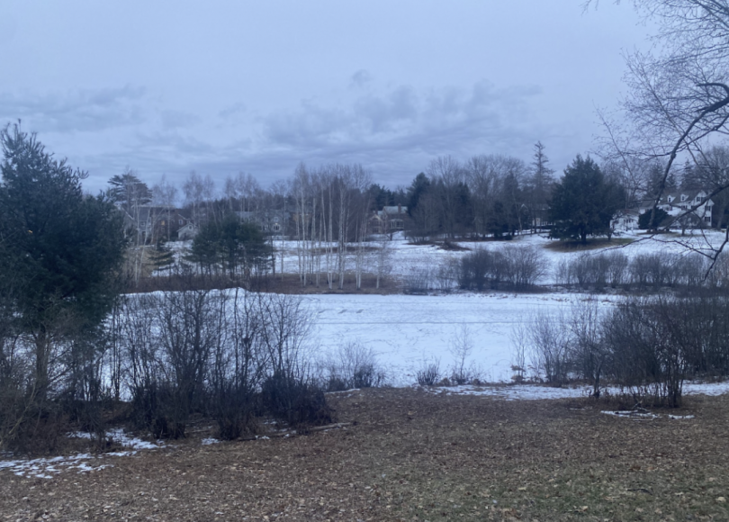 A winter landscape showing a frozen lake surrounded by snow-covered ground and sparse trees. In the distance, houses are partially visible among the trees under a cloudy sky.