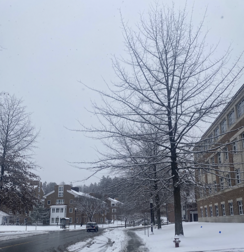 A winter scene showing a snowy street and a campus area. The bare branches of a tree are visible in the foreground. On the left, a brown brick building can be seen with a few trees around it.