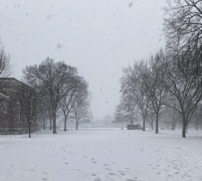 A snowy scene during a heavy snowfall, with white flakes falling thickly in the air. The landscape is covered in fresh snow, and bare trees are visible in the background