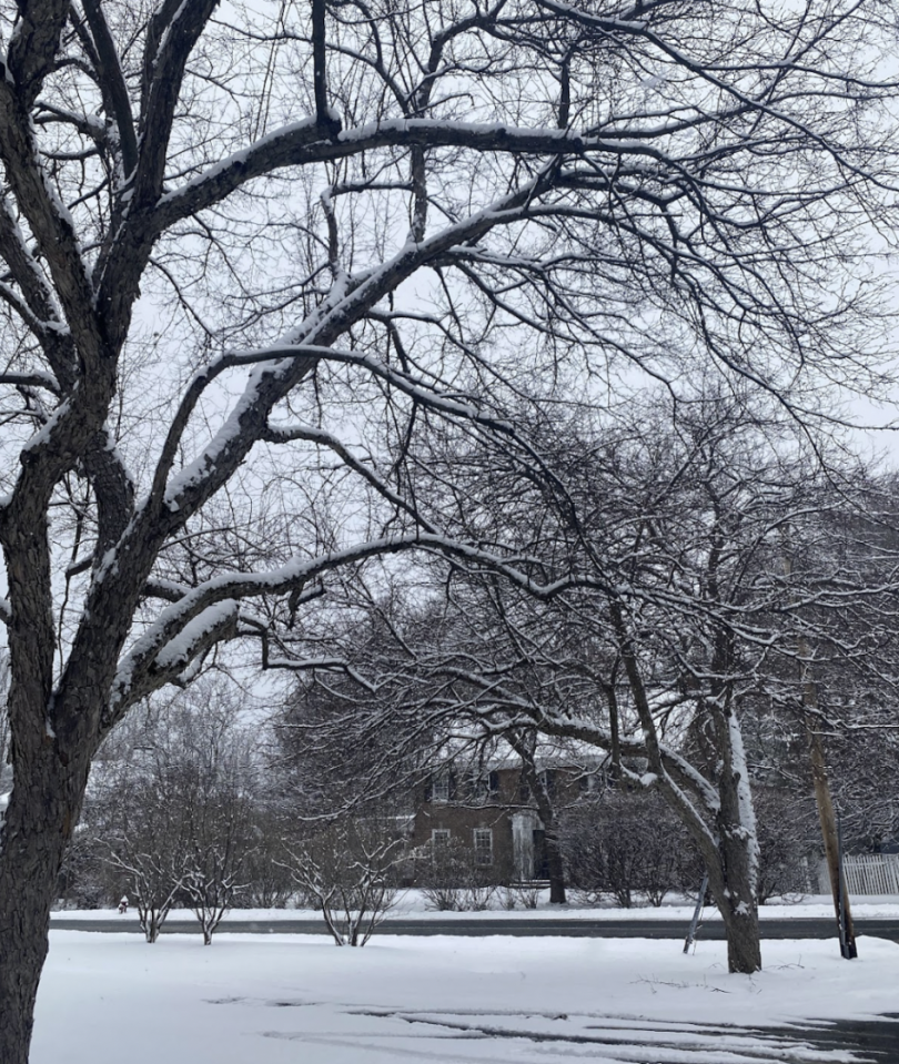 A serene winter scene featuring bare trees dusted with snow against a gray sky. The ground is covered in a thick layer of snow, and a part of a building is visible in the background, partially obscured by the trees.