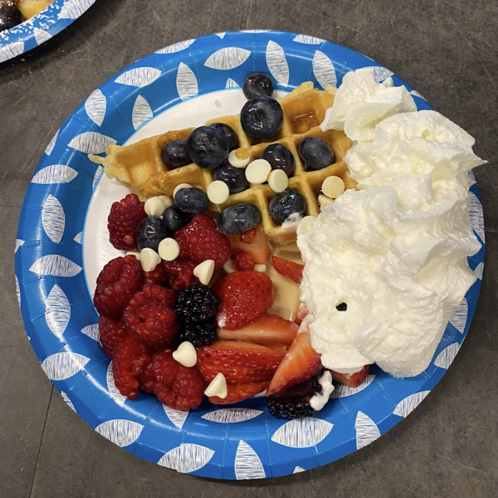 A blue paper plate holds a golden waffle topped with fresh blueberries and white chocolate chips, accompanied by a generous portion of whipped cream. Surrounding the waffle are a colorful assortment of fresh strawberries, raspberries, and blackberries.