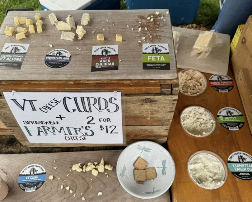 Assortment of cheese blocks and dips!