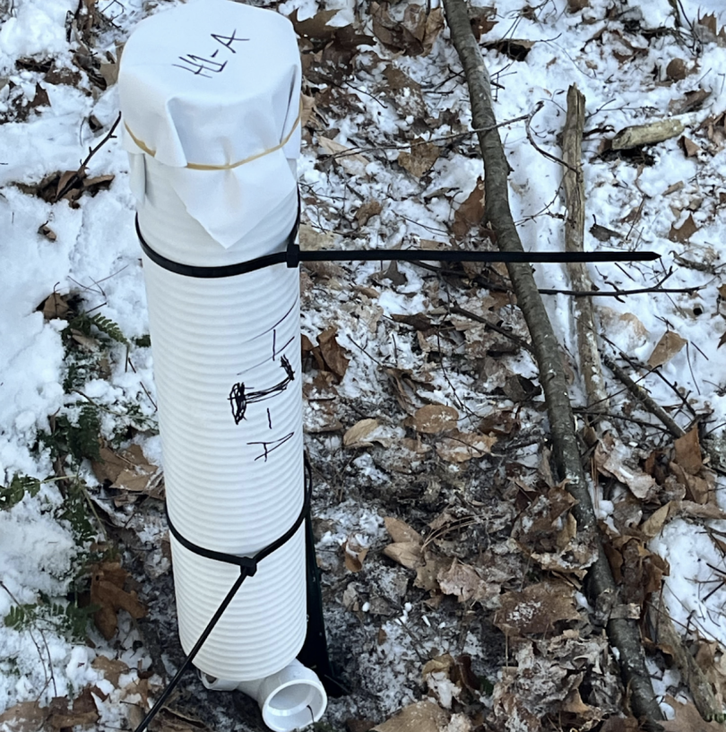 One of many small mammal hair traps scattered around Pine Park. The bottom tube is baited with peanut butter and a piece of tape to pick up hairs, while the top tube prevents the snowpack from clogging the trap.