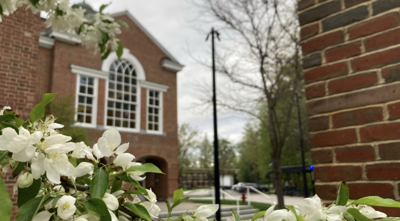 Branches of white crabapple flowers border the left and bottom edge of the image, framing the brick building of Cummings Hall in the background.