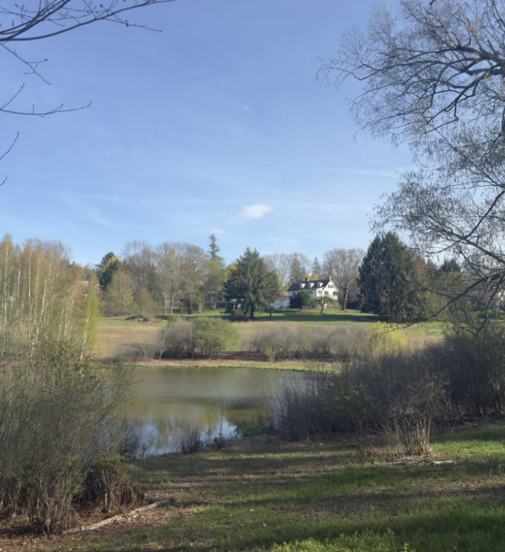 Occom Pond with a house in the background. The picture features the vivid green colors of the grass and trees in the background. The sky is a bird-blue sky with the sun shining down.