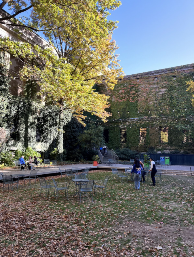 There is a green tree on the left while a wall with vines frames the right side. On the bottom are fallen leaves on the grass.