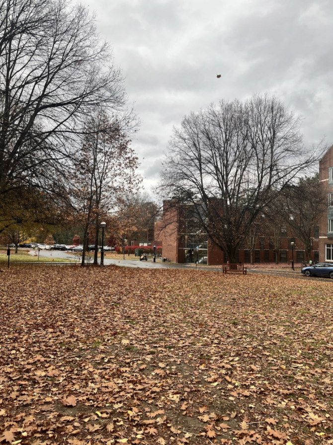 The foreground is a patch of ground covered in fallen leaves. Around the sort of open space are trees that are all sticks and branches. In the background you can see French and Judge hall, the River Cluster Buildings.
