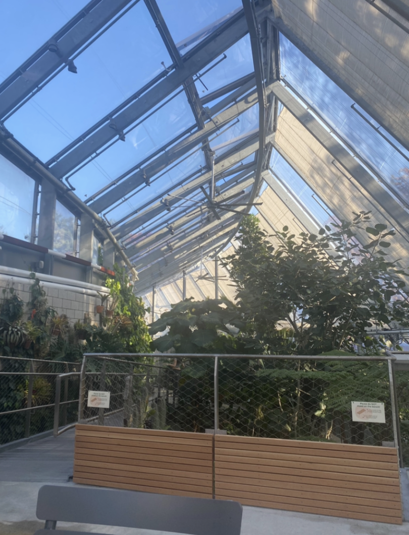A picture of the view from the top Mezzanine level.