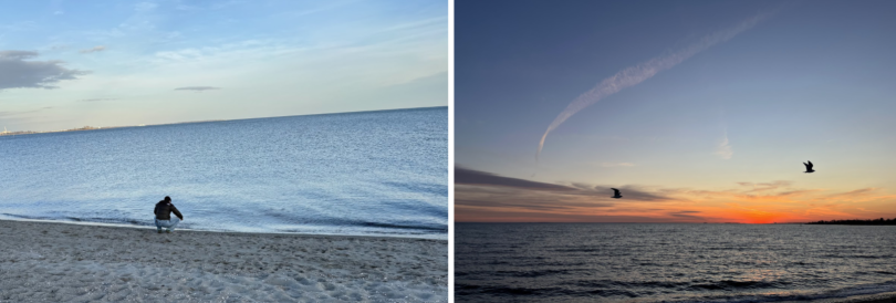 the sky fades from blue to a vibrant shocking orange. The ocean is dark blue on the bottom of the screen. Two shadowy birds flit across the screen.