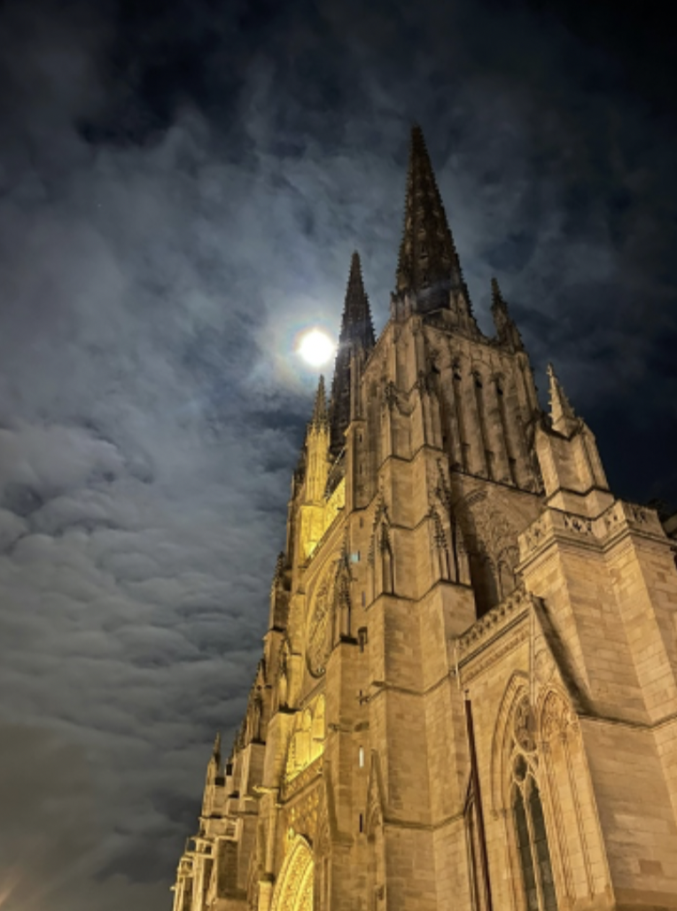 a cathedral lit up at night