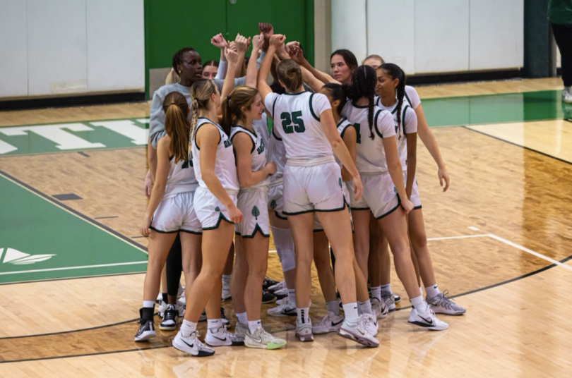 Dartmouth basketball team
