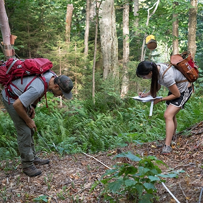 A photo of a professor and student conducting research