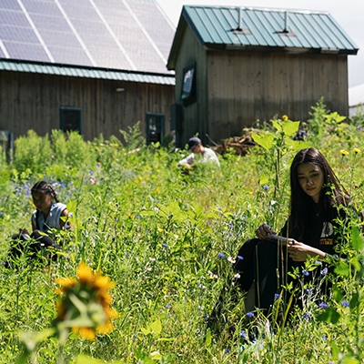 A photo of students conducting research at the Organic Farm