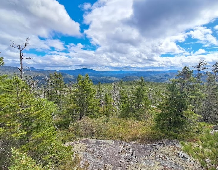 The top half of the photo has a bright blue sky interspersed with bright white clouds. In the distance, mountains loom. In the foreground are trees and there is a hiking trail between the trees.