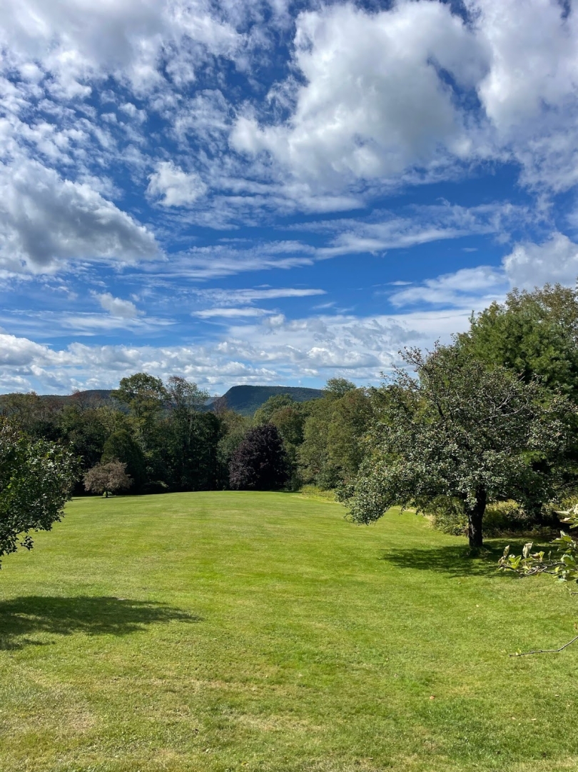 A bright green field with trees on the side and in the background.