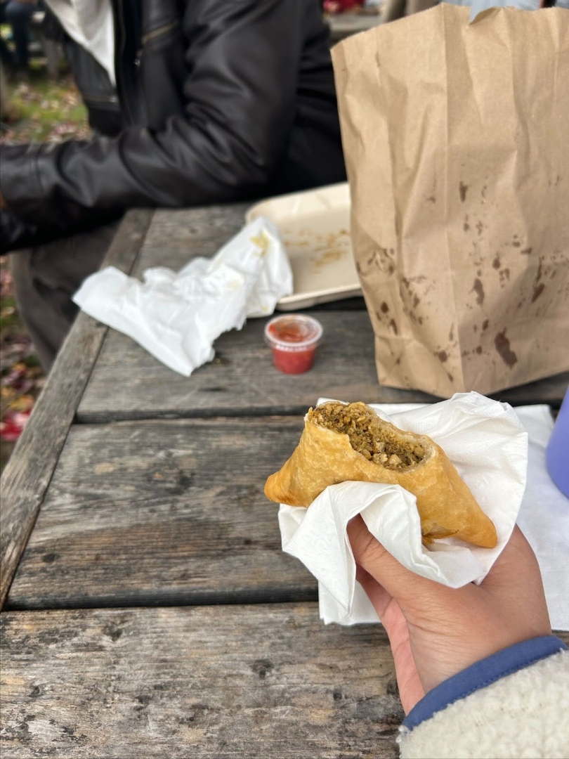 A picture of a bitten samosa