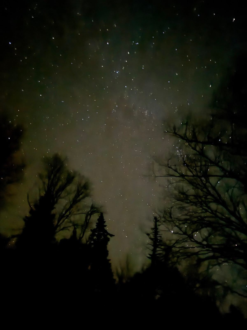 A photo of the night sky from Moosilauke Ravine Lodge. Many stars are visible, as well as the silhouette of some trees in the foreground.