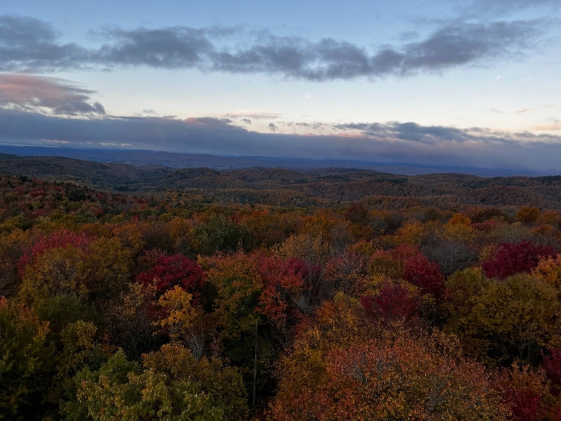 A view of the foliage from Gile Tower near Hanover 