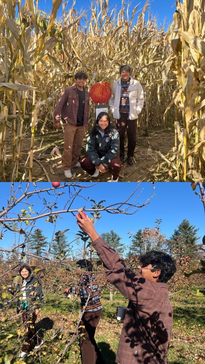 Collage of two photos, the top contains three college students standing next to an apple cut-out, two standing by it, one kneeling by it. They're smiling! On the bottom, one of the college student in red plaid is attempting to pick ripe apples