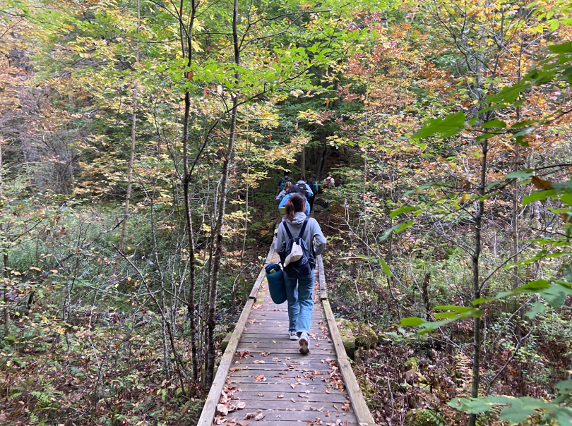 A person, wearing a gray sweatshirt and blue jeans, is walking across a wooden bridge. On either side of the bridge, there are thin trees with leaves that are changing colors. The person walking across the bridge is wearing a backpack 