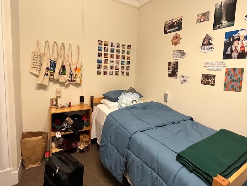 An image of a college dorm room with a bed, bedside table and posters