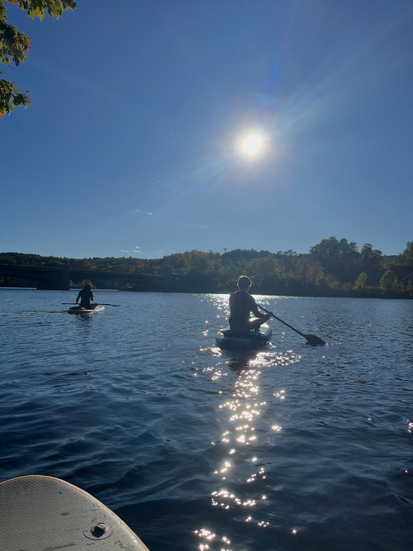 Two people on a river on paddle boards with trees in the background.