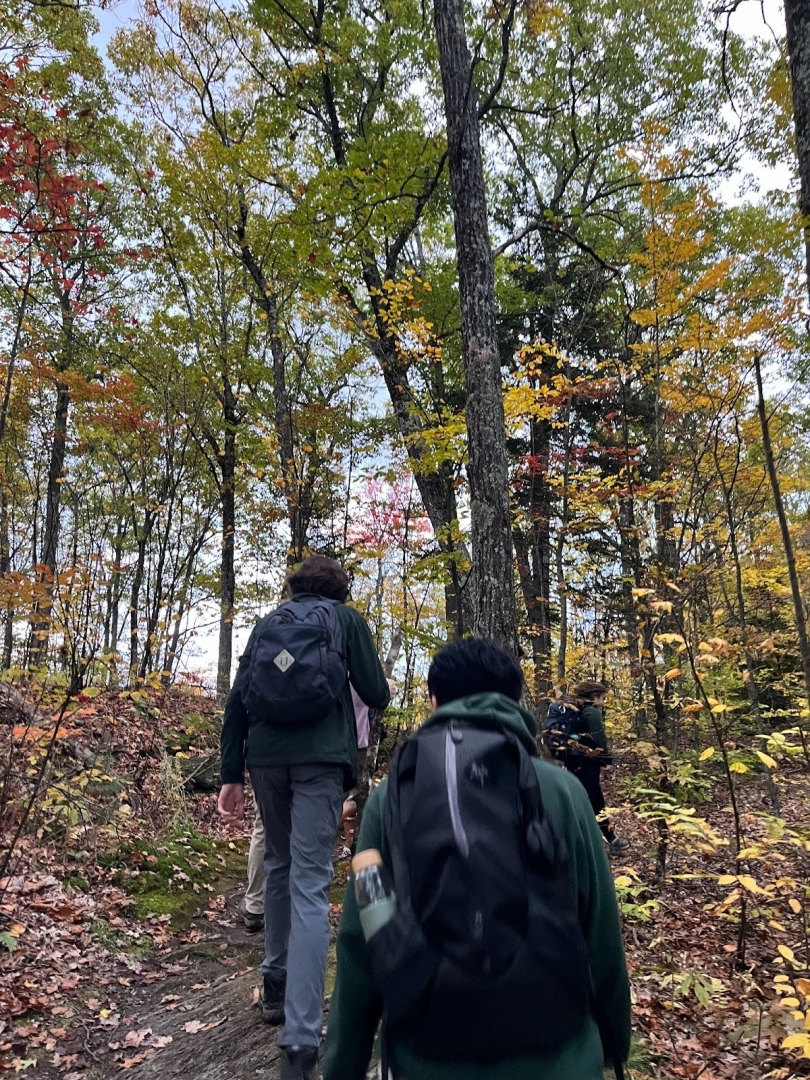A view of students hiking in the woods from the rear