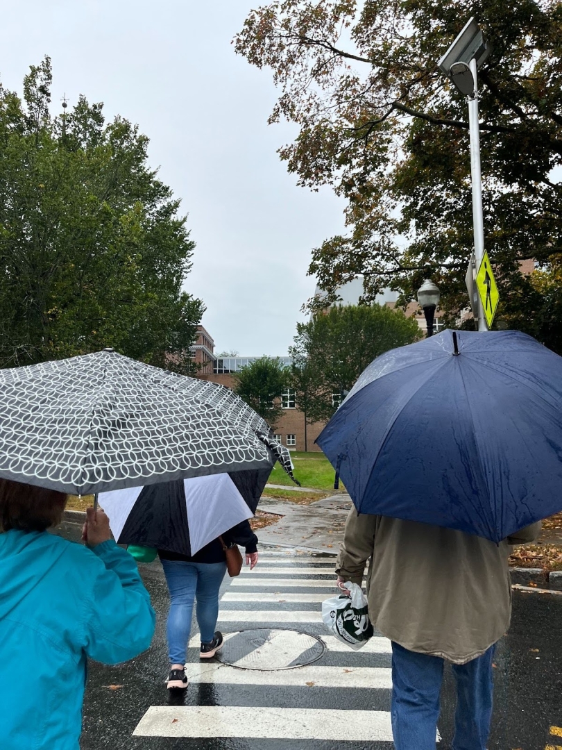 The backs of three people crossing a crosswalk, holding umbrellas.