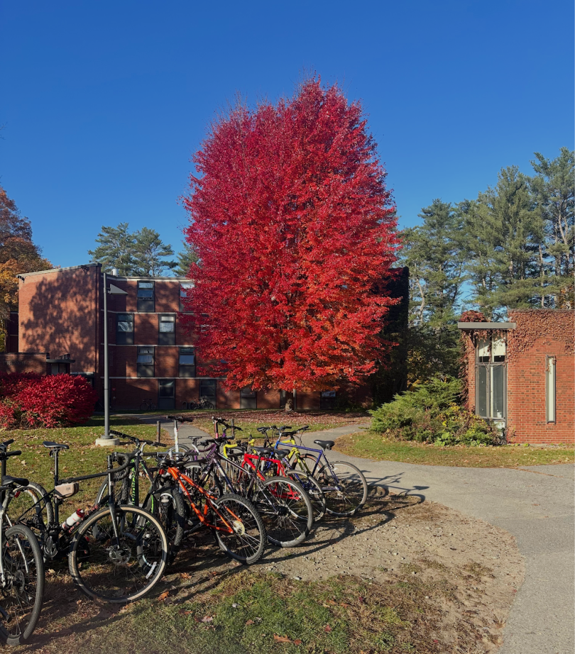 Picture of a big tree with orange and red leaves in front of a brick building.