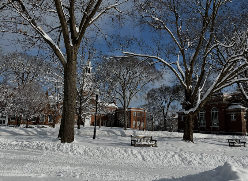 Berry-Baker Library and trees covered in snow on a sunny day