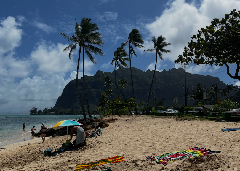 A picture of a beach in Hawaii