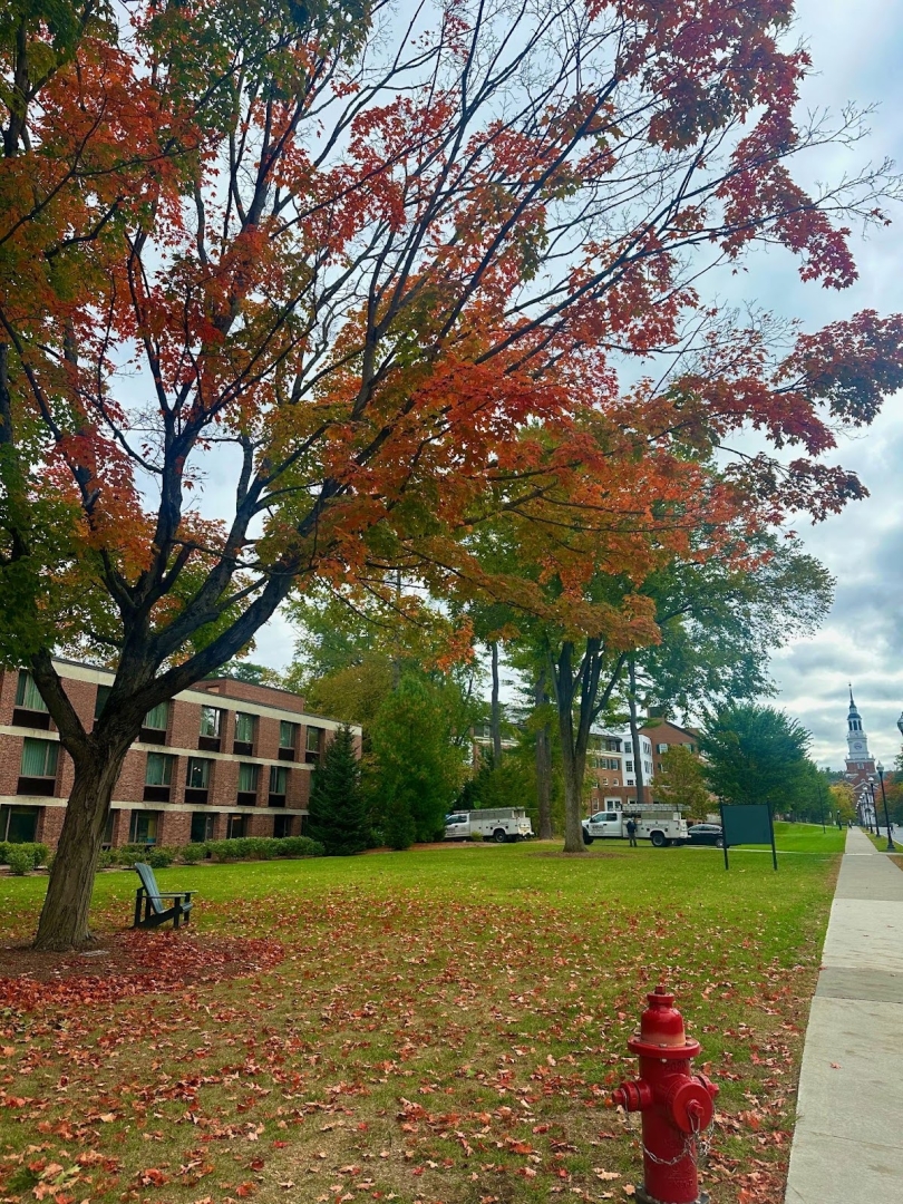 Bright and vibrant fall foliage with a large oak tree in full autumn colors, its leaves scattered across the ground. A lawn chair sits in the grass beneath the tree, while a red fire hydrant adds a pop of color in the background.